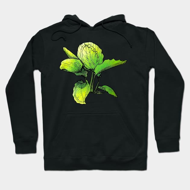 Calathea Hoodie by claudiecb